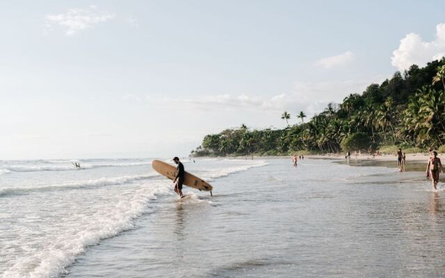 Star Mountain Jungle Lodge