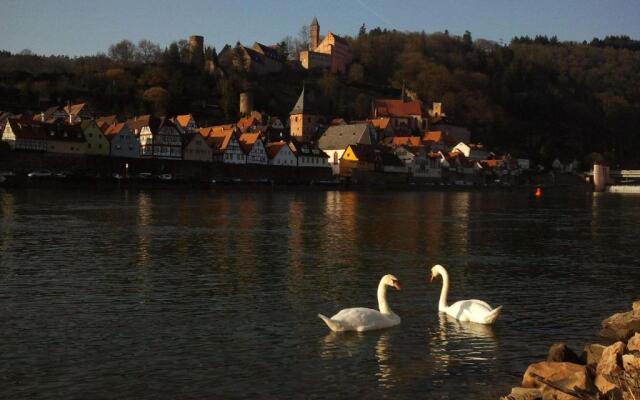 Romantisches Hirschhorn am Neckar