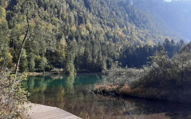 Mountain Harmony