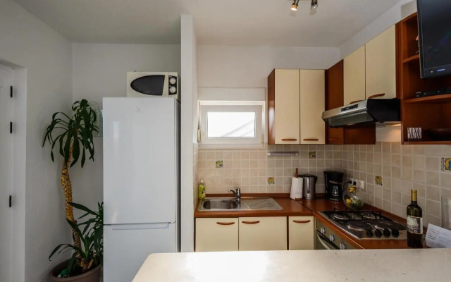 Apartment Botic