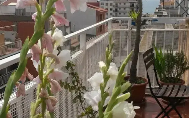 Mediterraneo Marbella