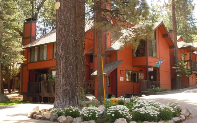 Escape For All Seasons