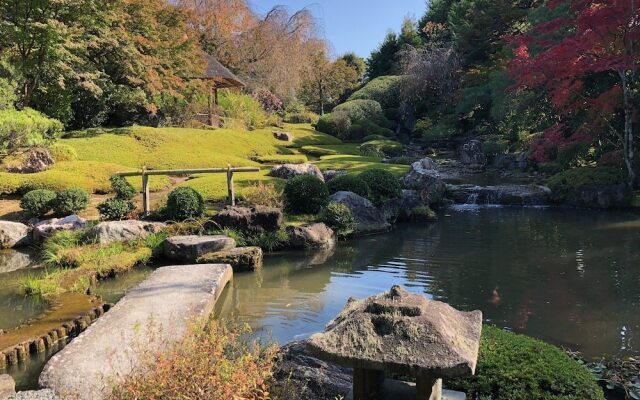 Tsubaki Ann Kyoto