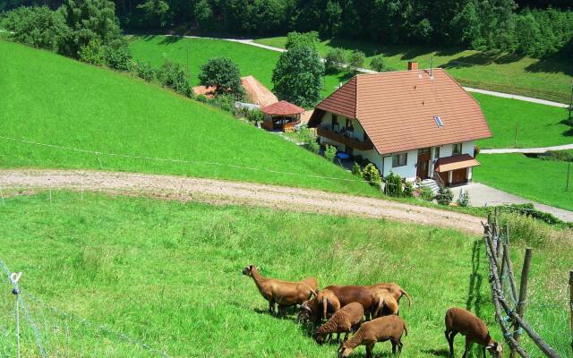 Serene Apartment in Hofstetten with garden amidst luxury of nature