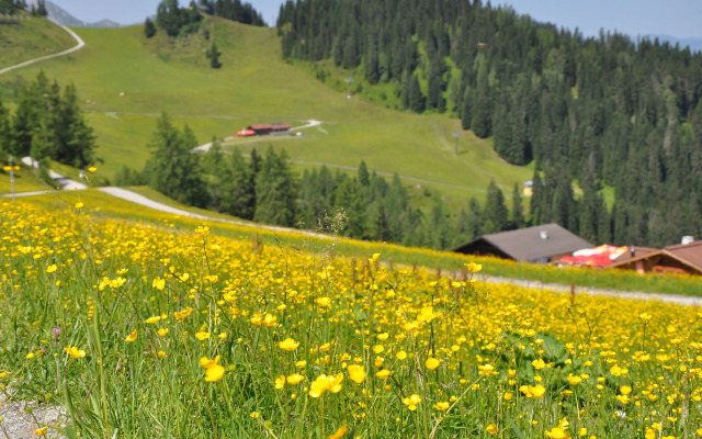 Appartement Schattauer