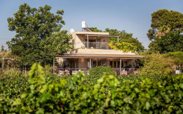 Mettler Winery