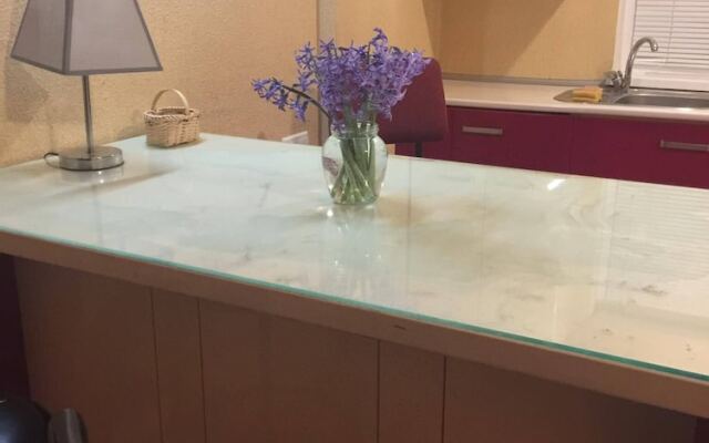 Suit apartment Erekle Tatishvili street