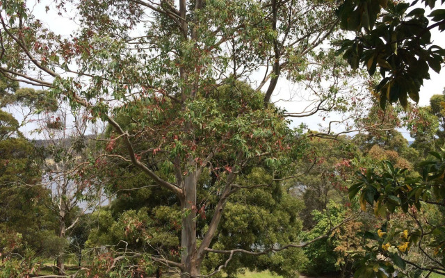 Tranquil Point