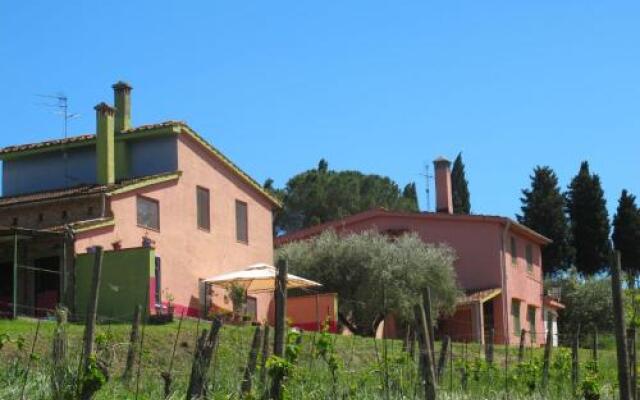 Conte Francesco Ii 233S