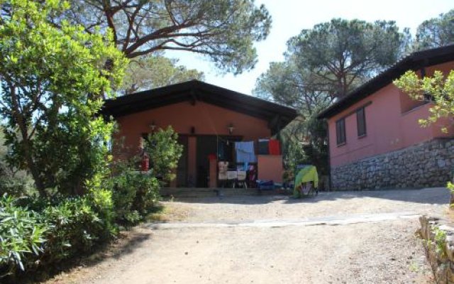 Camping Lacona Pineta