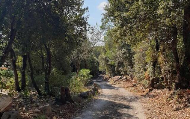 Le Petit Coin de Paradis