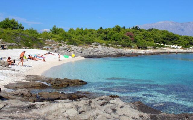 Apartments by the sea Sumartin, Brac - 18749