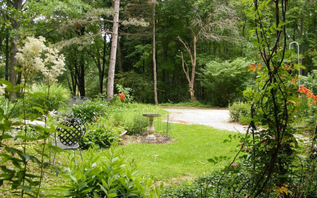 Self Realization Meditation Healing Centre