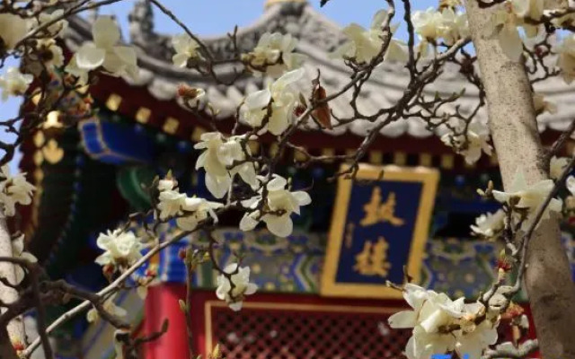 Starway Hotel (Xi'an Gaoxin Provincial Sports Training Center)