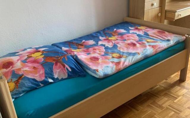 Reichenbach Apartment