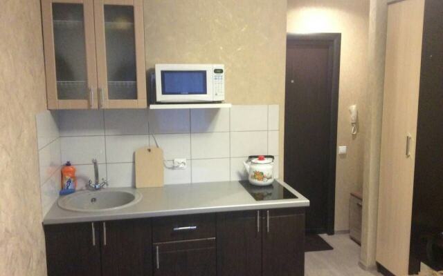 1 bedroom apartment on Sovetskaya 167