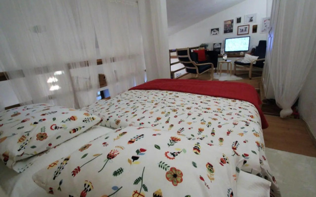 House in center of Gospic with big garden