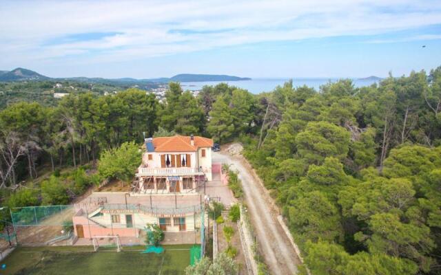 The Pine Tree House