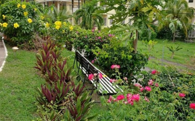 Bougainvillea Apartments