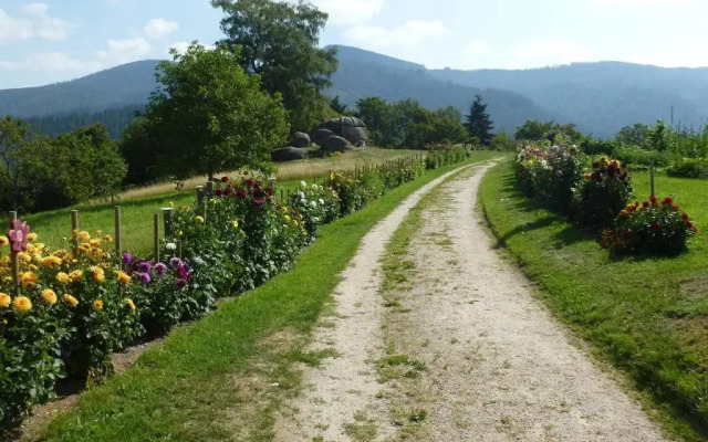 Ferienwohnung Pusteblume