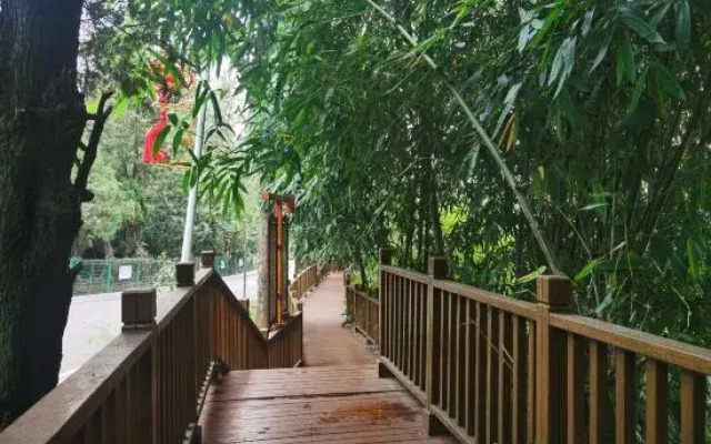 Anning Hot Spring Longjing Homestay