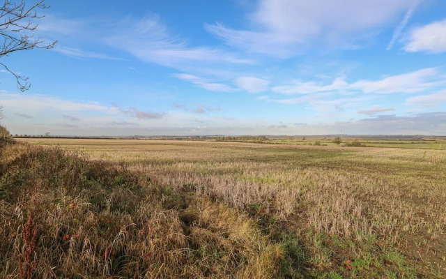 The Pinfold