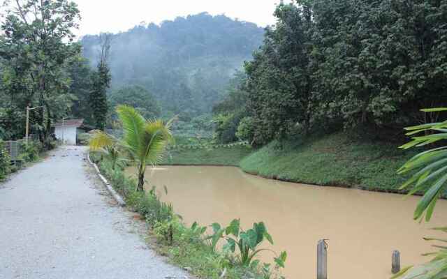 Tokwan's Agro Village