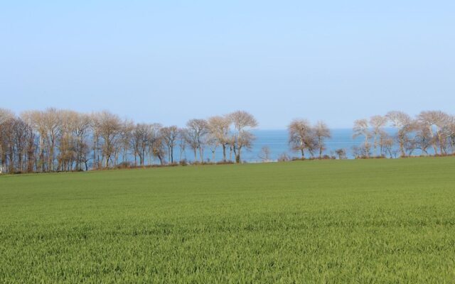 Aparthotel Museumshof