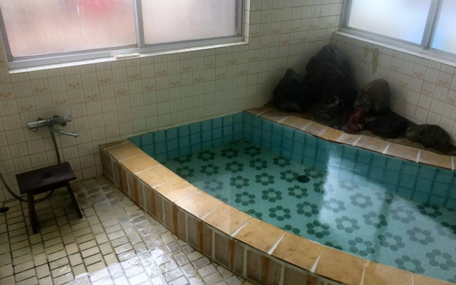Onsen Guesthouse Sakaeya