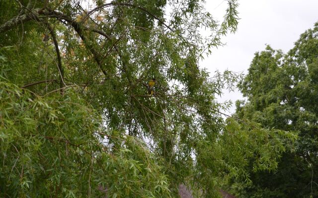 Chrislin African Lodge