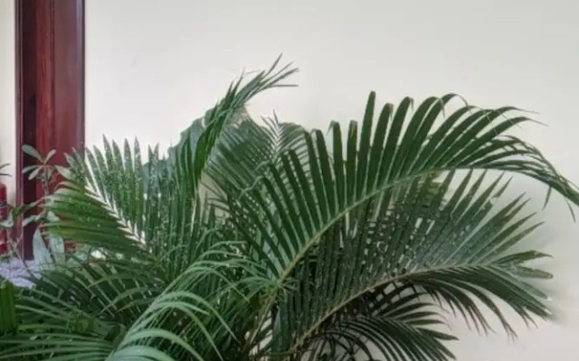 Hoa Anh Dao Garden Hotel