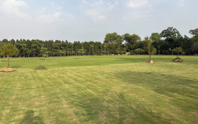 The Greenwood Farm And Lawn -Bijwasan