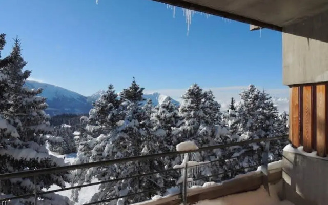 Noemys L'Ecrin des Neiges