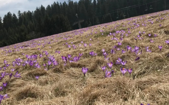 Panorama Donovaly 34-B