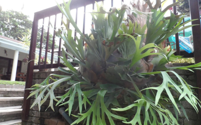 Mdoni House Guest Lodge
