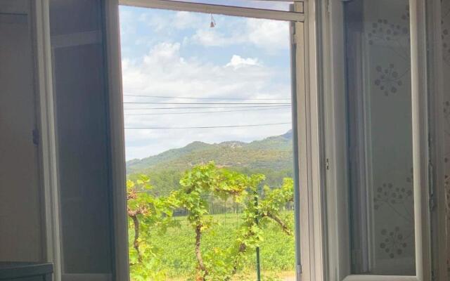 Appartement au Coeur de la Provence