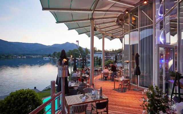 Scalaria Sunset Wing