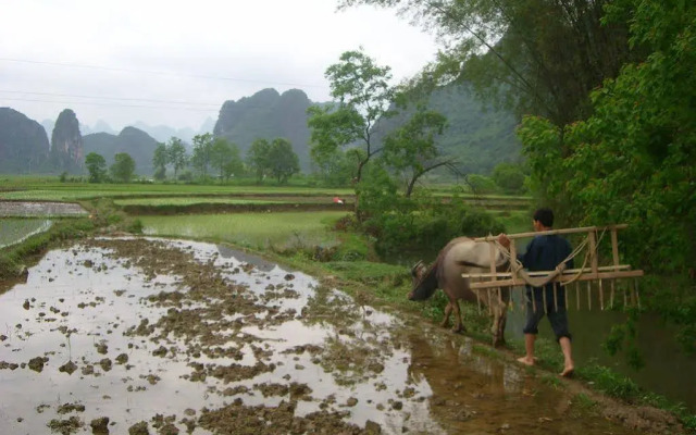 Yangshuo Ecofarm Lodge