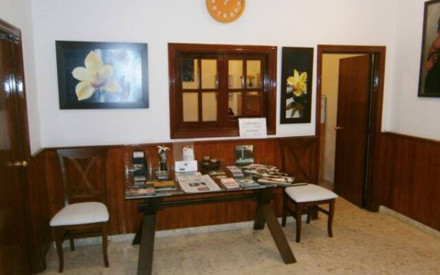 Sanvi Xerez Centro