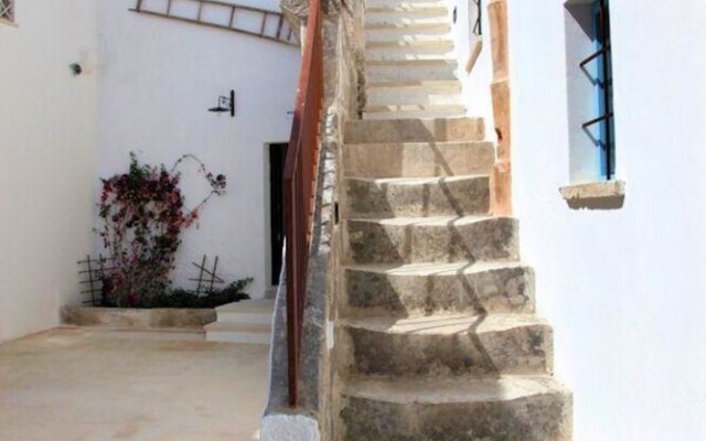 The Courtyard - Lilly