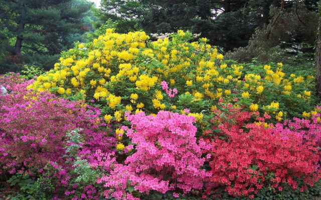 Gästezimmer Charlotte