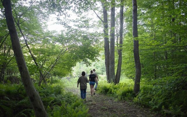 Tentrr - R Shady Creek Camp