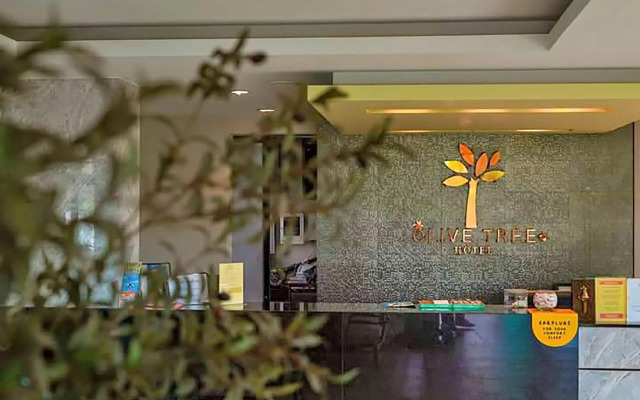 Olive Tree Hotel