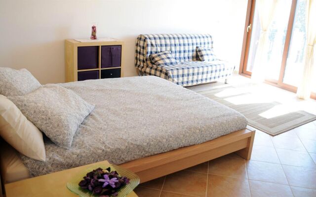 La Circumetnea B&B