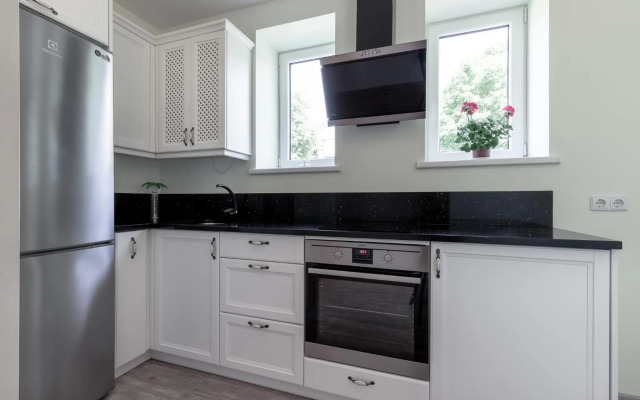 Basanavičiaus street apartaments with view No 1