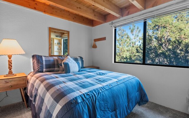 TreeHouse on Rainbow