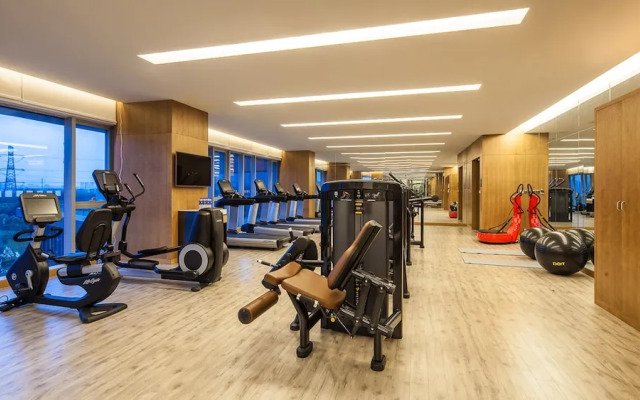 Holiday Inn- Nanjing Qinhuai South By Ihg