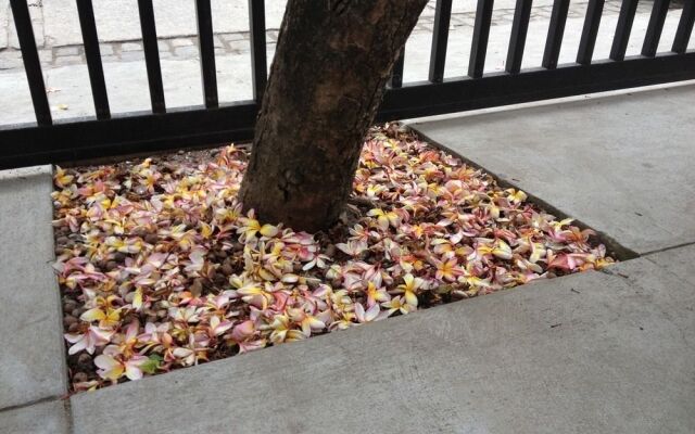 Caixa Preta Apartments