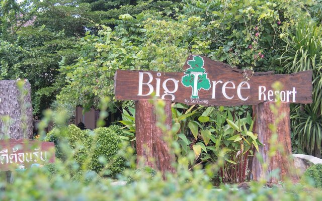 Maiyai Resort - Big Tree