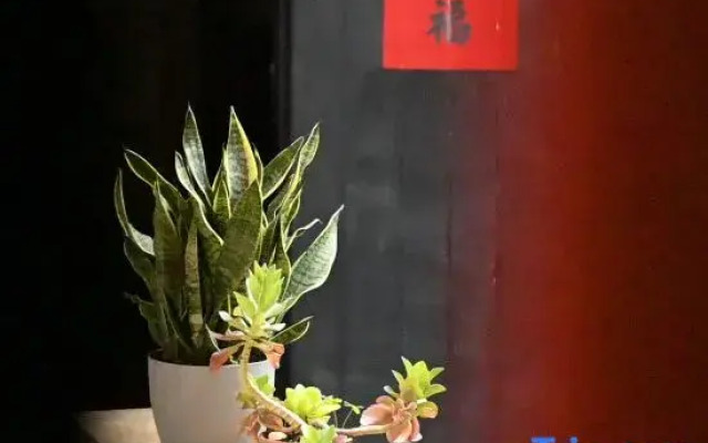 Qiao Ju B&B